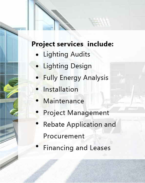 project services include project services include
